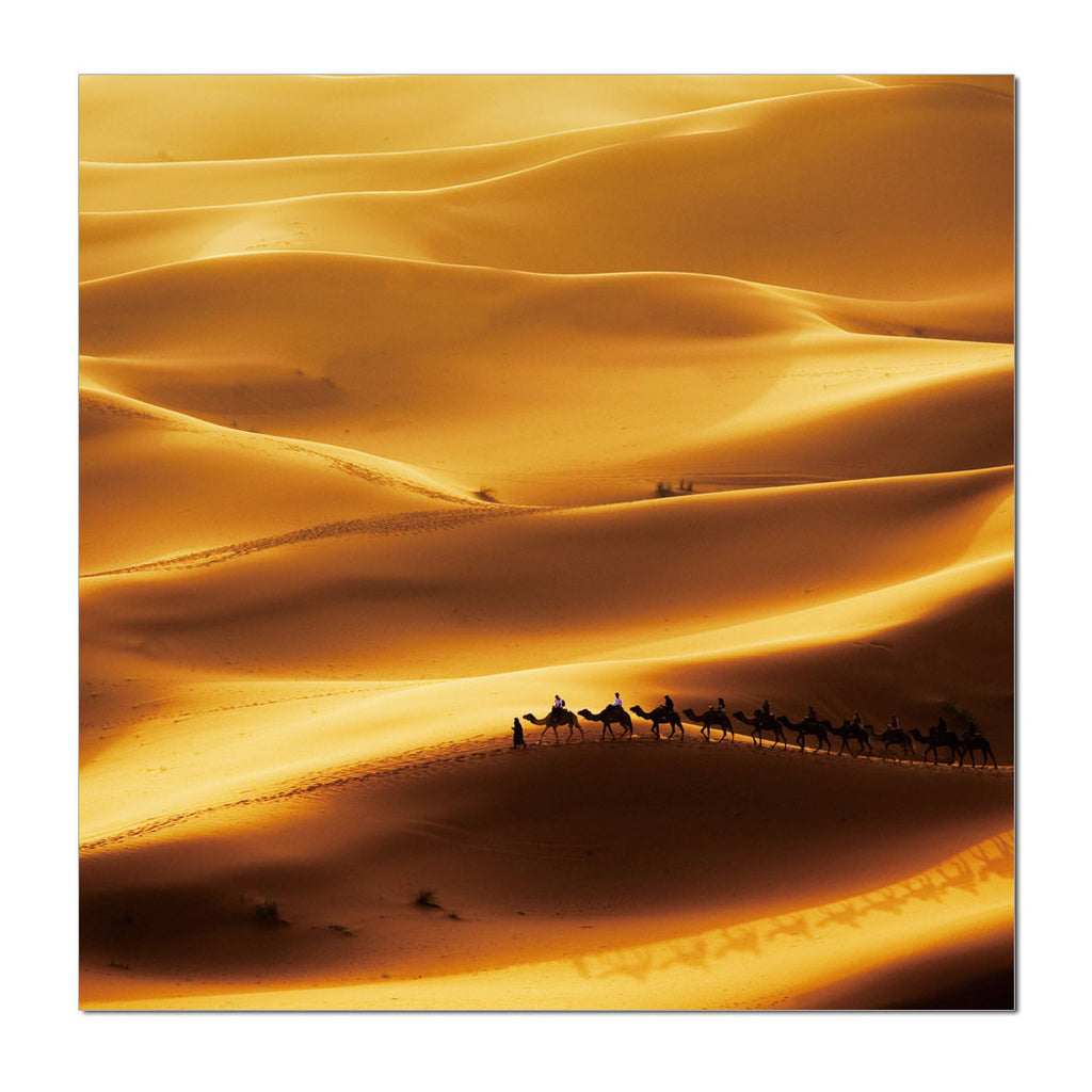 Desert Scenery - California Wall Art
