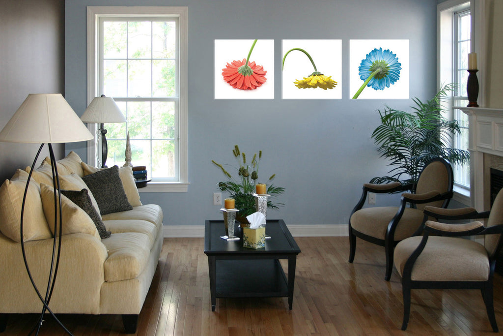 Color Daisies - California Wall Art
 - 2