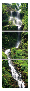 Waterfall in Forest Vertical - California Wall Art
 - 1